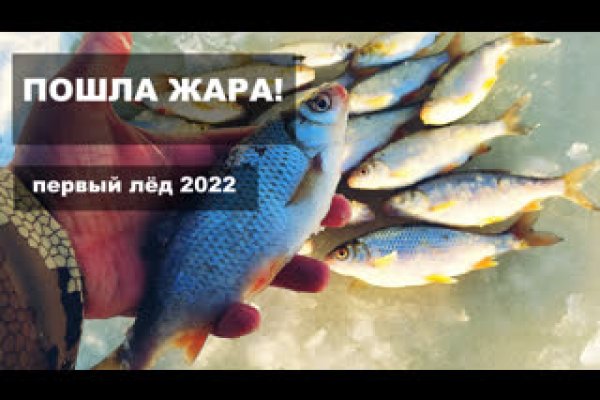 Kraken площадка