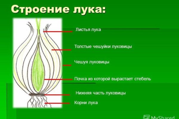 Что будет если зайти в кракен