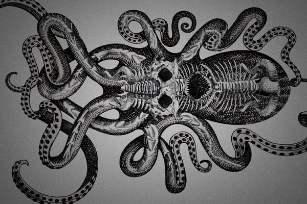 Kraken настоящая ссылка