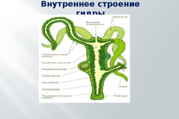 Karken