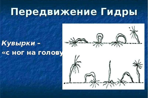 Кракен магазин тор