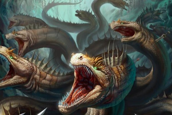 Kraken site