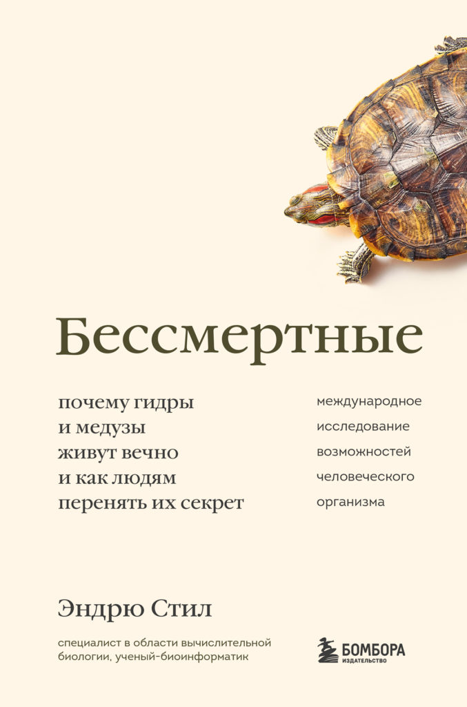 Kraken зеркала маркетплейс