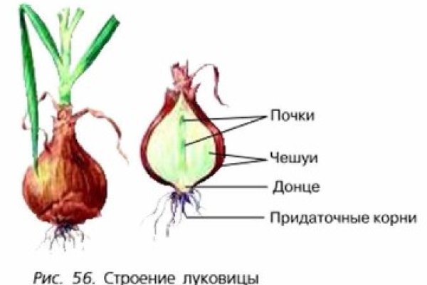 Как вернуть аккаунт кракен